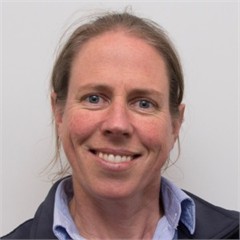 Cindy Hayes headshot